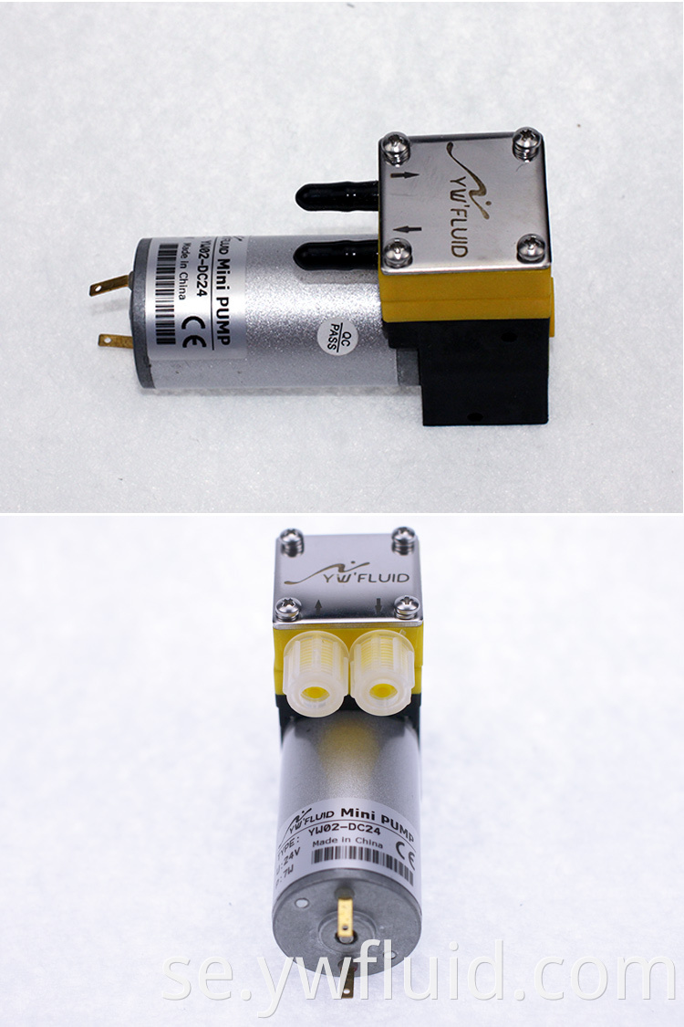 Högkvalitativ elektrisk dubbel minisprutning 12V Membran Pump Micro Air Operated Vakuum Membran Vattenpump